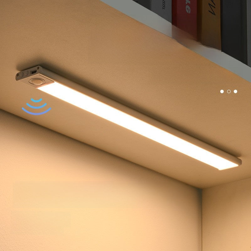 Human body induction LED light